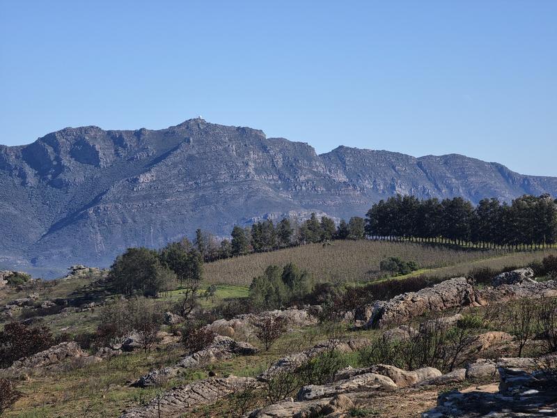 5 Bedroom Property for Sale in Piketberg Rural Western Cape